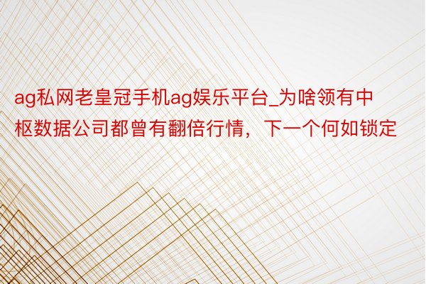 ag私网老皇冠手机ag娱乐平台_为啥领有中枢数据公司都曾有翻倍行情，下一个何如锁定