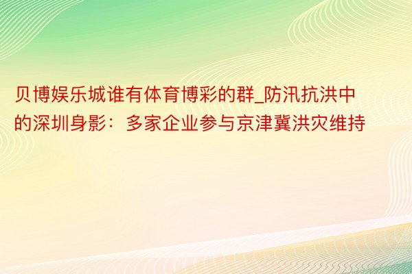 贝博娱乐城谁有体育博彩的群_防汛抗洪中的深圳身影：多家企业参与京津冀洪灾维持