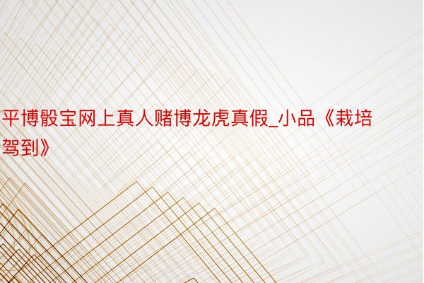 平博骰宝网上真人赌博龙虎真假_小品《栽培驾到》