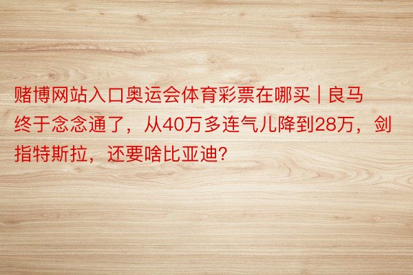 赌博网站入口奥运会体育彩票在哪买 | 良马终于念念通了，从40万多连气儿降到28万，剑指特斯拉，还要啥比亚迪？